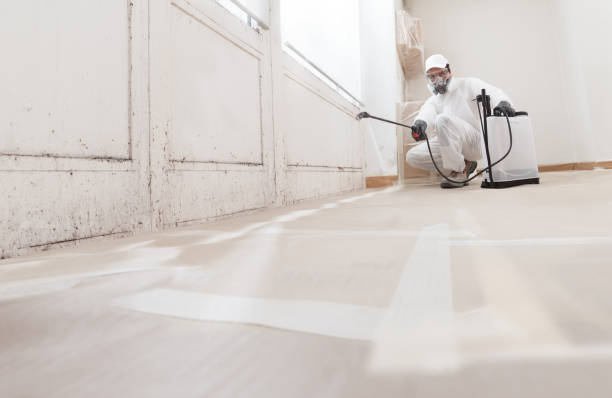 24/7 Emergency Attic Mold Remediation experts in West Chester, PA