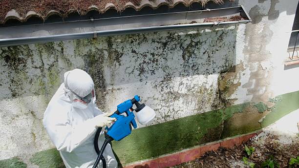 Top rated local Attic Mold Remediation specialists in West Chester, PA